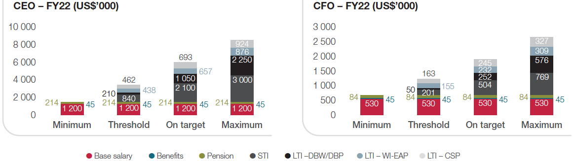 ceo and cfo fy22