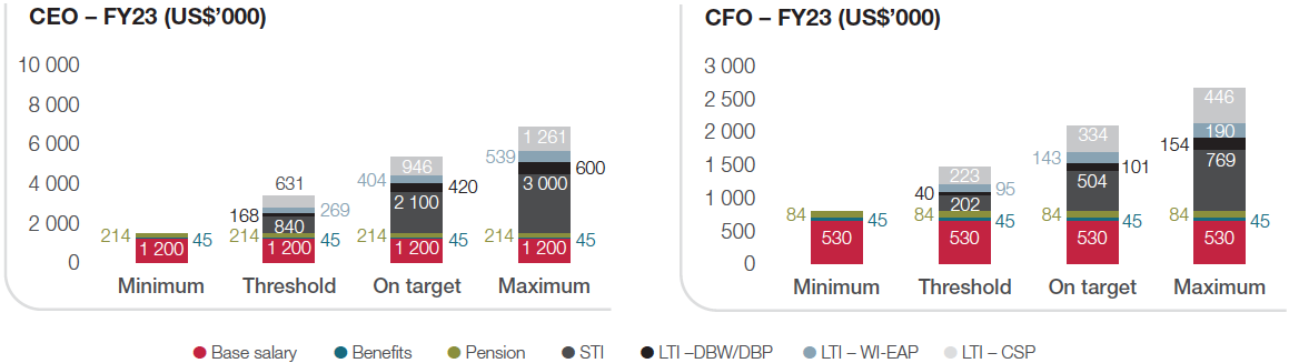 ceo and cfo fy23