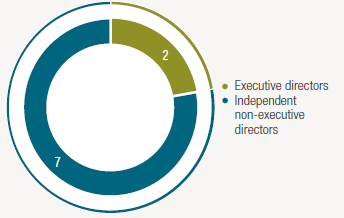 BOARD DIVERSITY GRAPH