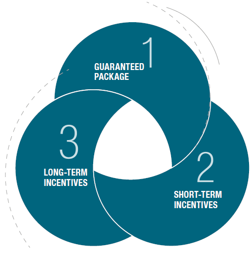 Main elements of remunaration